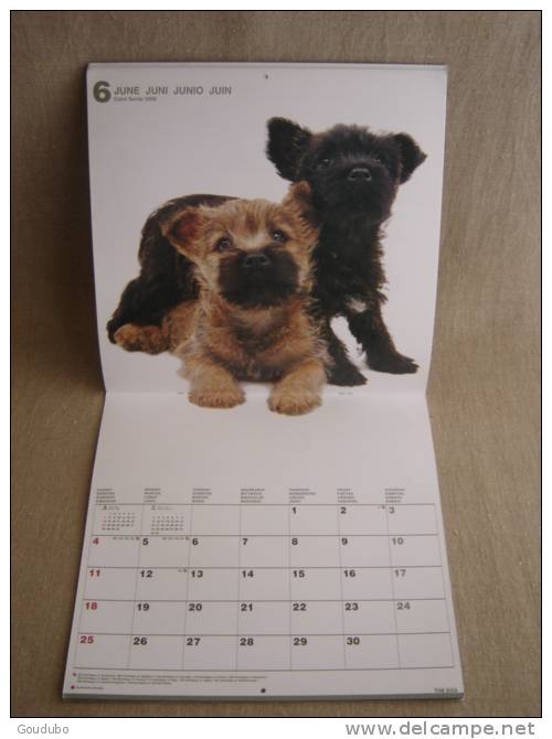 Calendrier Artlist Collection, The Dog ( Chien ). Cairn Terrier 2006. Voir 5 Photos. - Autres & Non Classés