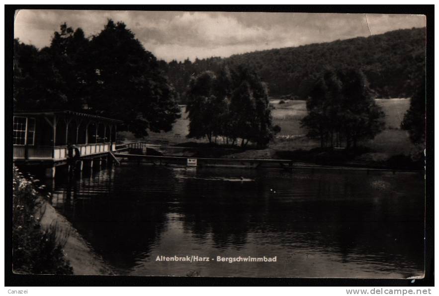 AK Altenbrak/Harz, Bergschwimmbad, Handfoto 1960 - Altenbrak