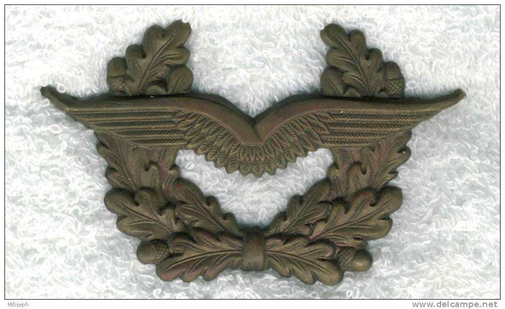 Insigne - Ailes Déployées Stylisées Avec Rameaux De Feuilles De Chêne - A IDENTIFIER     (1778) - Airforce