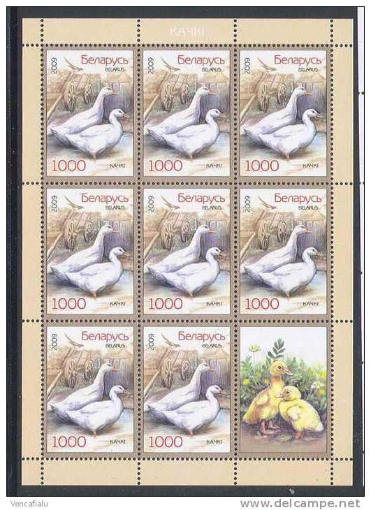 Byelarus  2010 - Domestic Gooses,  MS With Cupon, MNH - Gänsevögel