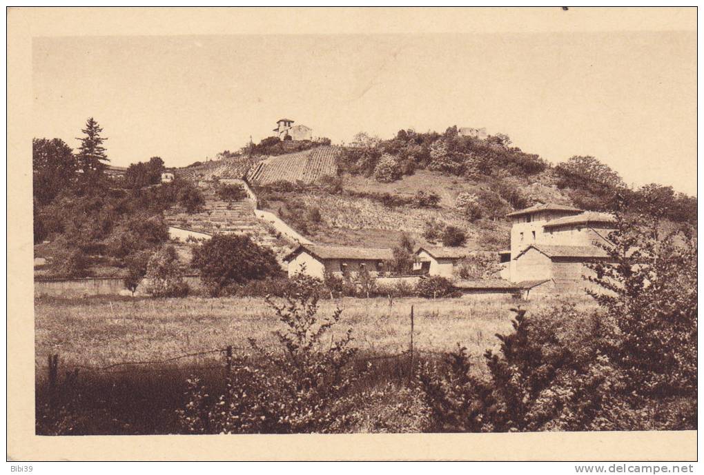 MONTLUEL.  _  Chapelle  Et  Coteau  St-Barthelemy. Vignes. - Montluel