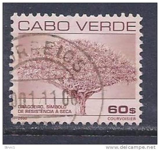 Cape Verde, Scott # 763 Used Dragoeiro Tree, 2000 - Kaapverdische Eilanden