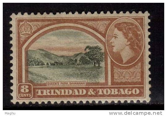 Trinidad And Tobago MH 1953, 8c Queens Park,  As Scan - Trinidad & Tobago (...-1961)