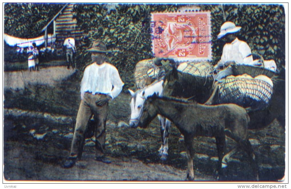 CPA Panama Cheval, Pferd, Horse, Paard, Cavallo, Caballo Avec Agriculteurs, Paysans - Panama