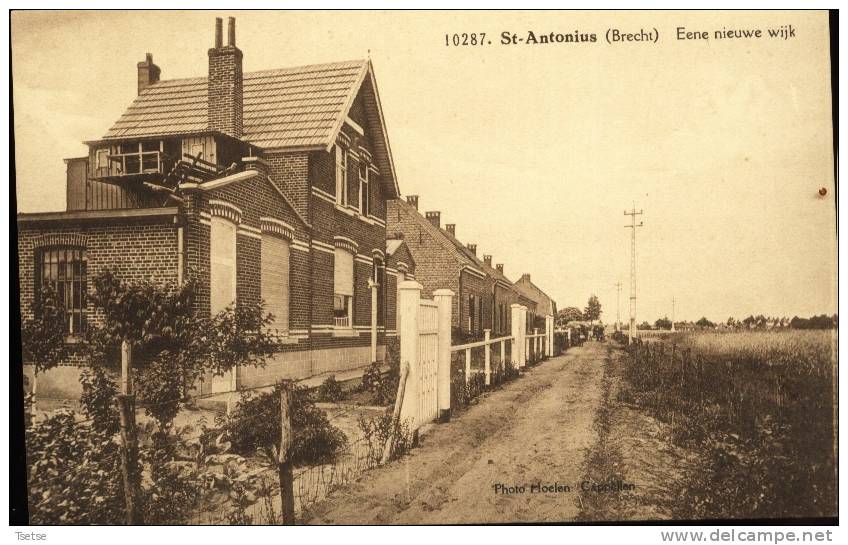 St-Antonius - Eene Nieuwe Wilk - Brecht