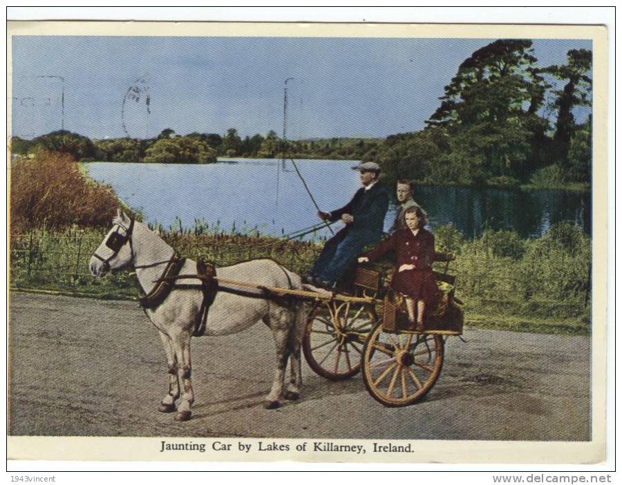 C 6823 - KERRY - Ireland - Jaunting Car - Belle CPM - - Kerry