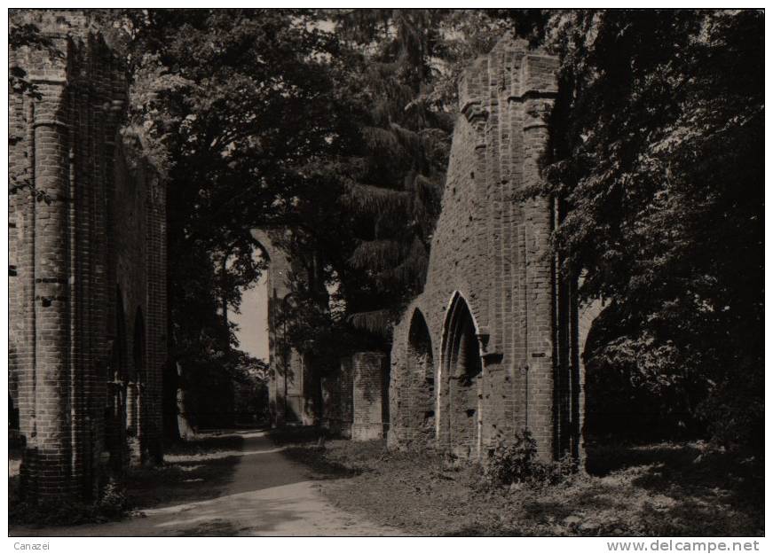 AK Greifswald-Eldena, Klosterruine, 1973 - Greifswald