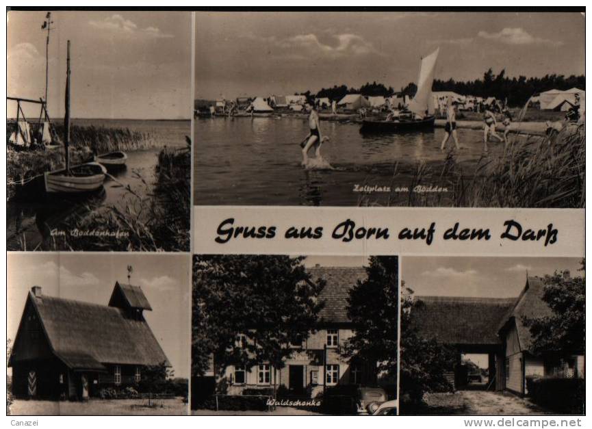 AK Born/Darß, Zeltplatz, Waldschänke, Bodden, 1974 - Fischland/Darss