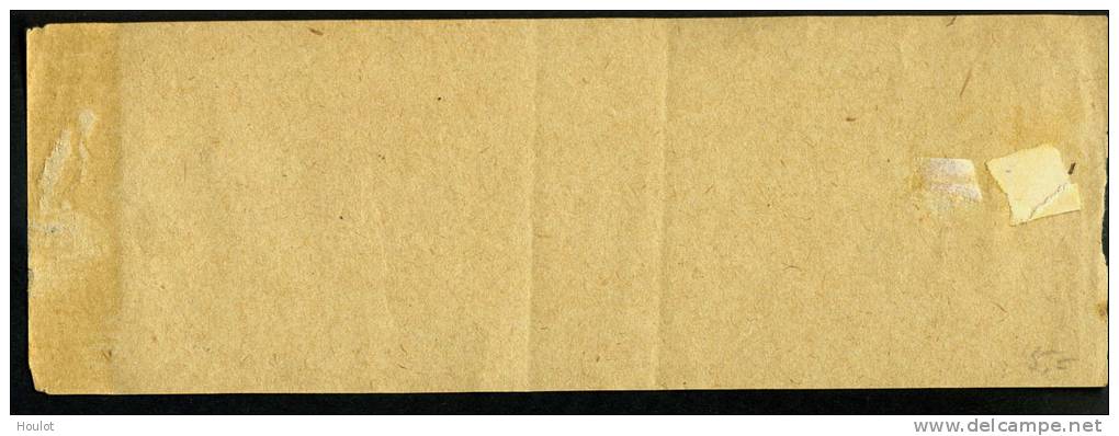 Ganzsache Streifband Mi.N°s 3 Yvert N° BJ1 *, Format =  16,2 X 5,6 Cm Mit 2 Farbigen Trennungslinien , - 1900-29 Blanc