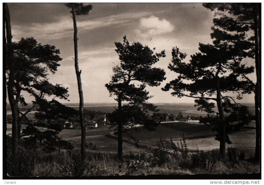 AK Hiddensee, Blick Auf Kloster, Echte Fotografie 1959 - Hiddensee