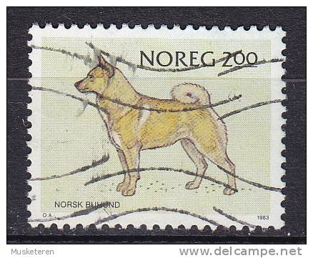 Norway 1983 Mi. 878    2.00 Kr Norwegischer Hunderassen Buhund - Used Stamps