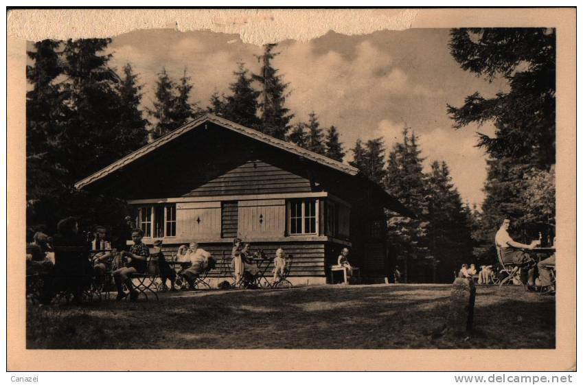 AK Ilmenau, Bobhütte Auf Dem Lindenberg, 1953 - Ilmenau