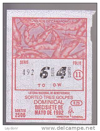 Lottery - Panama - Shrimp - Camarones - Lottery Tickets