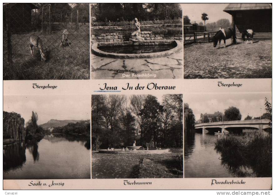 AK Jena, In Der Oberaue, Echte Fotografie 1964 - Jena