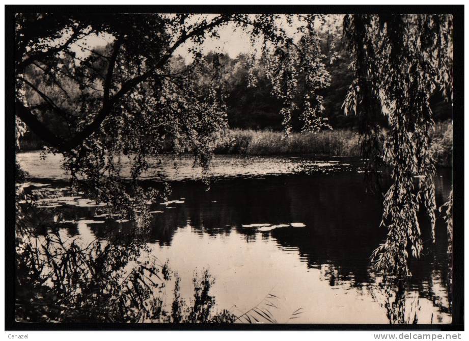 AK Lehnin, Am Traumsee, 1975 - Lehnin