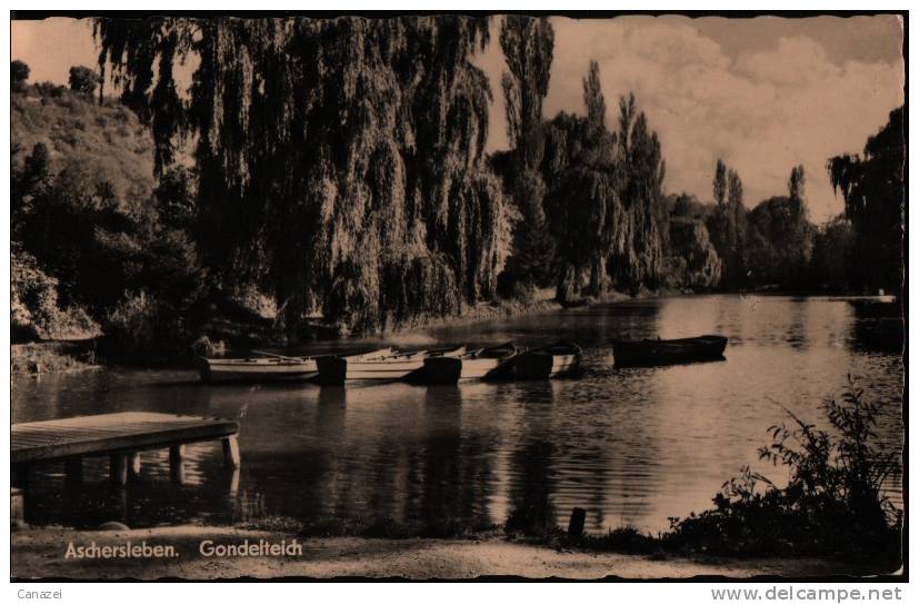 AK Aschersleben, Gondelteich, Echte Fotografie Um 1960 - Aschersleben