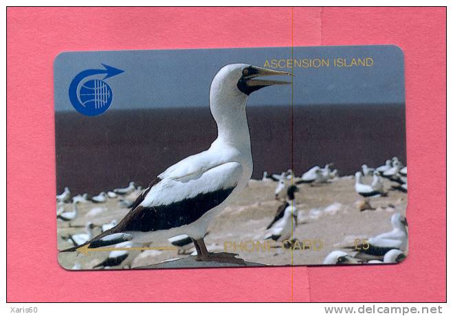 ASCENCION: ASC-M-1A £5 White Boody Bird 1CASB - Isole Ascensione