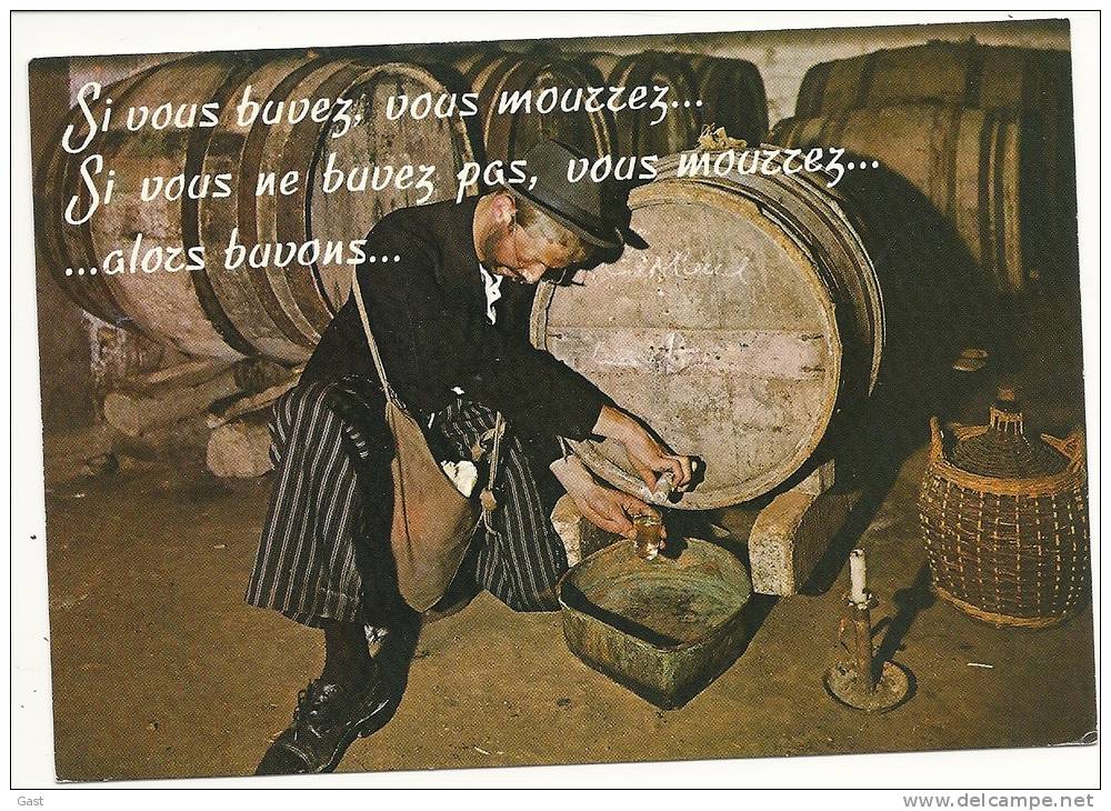 2  CPM  SUR  LE  VIN          BARRIQUE          SI  VOUS  BUVEZ  .................. - Vignes