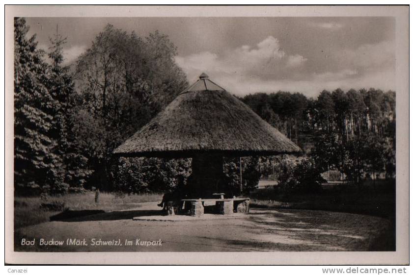 AK Bad Buckow, Im Kurpark, Verm 1951, Ung - Buckow