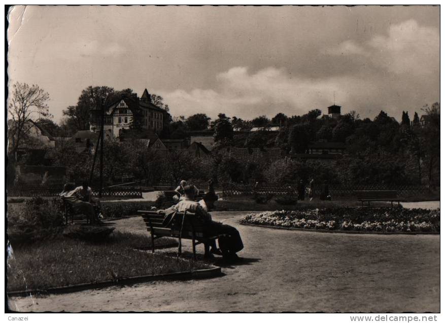 AK Bad Buckow, Im Stadtpark, 1960 - Buckow