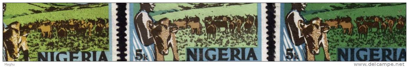 3 Diff., Colour Variety, Nigeria Used 1973, 5k Catttle Ranch, Farm Animals - Nigeria (1961-...)