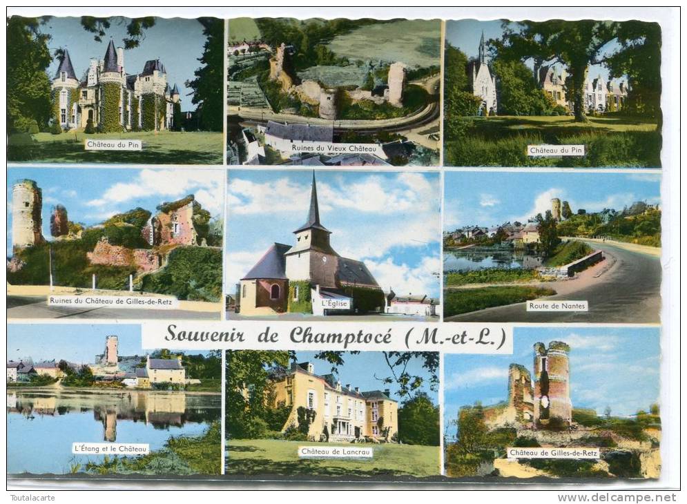 CPSM 49 SOUVENIR DE CHAMPOCE 1968 Multi Vues - Champtoceaux