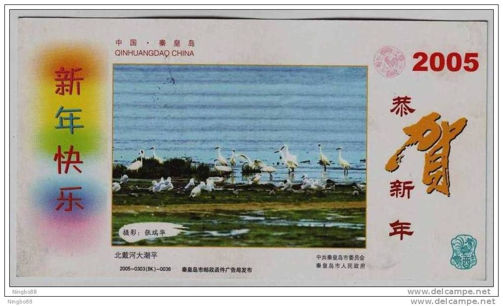 Seashore Wetland,Best Bird Watching Site,Seagull,China 2005 Qinhuangdao Landscape Advert Pre-stamped Card - Mouettes