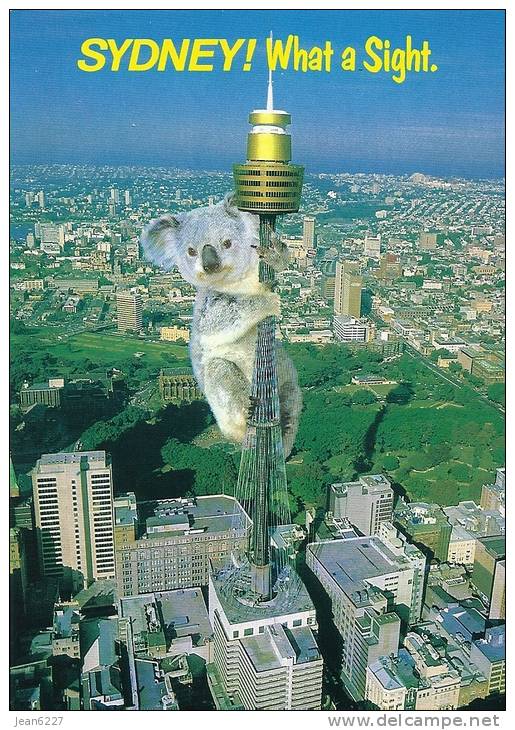 Sydney Tower - Sydney