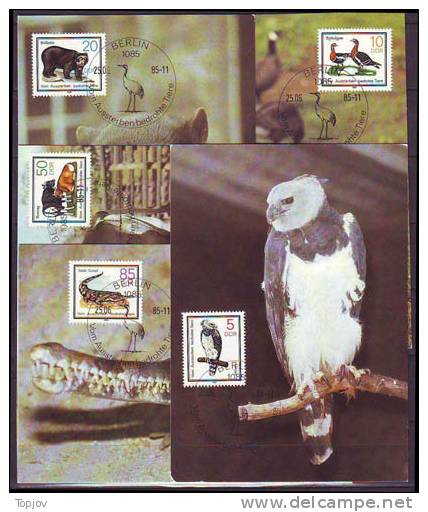 GERMANY - DDR - DUCK, EAGLE, BEER, COW, CROCODILE  - MAX.CARD  - 1985 - Patos