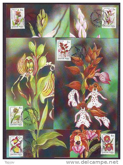 HUNGARY - MAGYAR O. -  ORCHIDS  - MAX.CARD  - 1987 - FDC