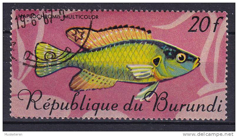 Burundi 1967 Mi. 331    20 Fr Fische Fish - Oblitérés