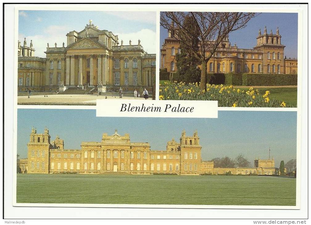 CP - BLENHEIM PALACE - Sonstige & Ohne Zuordnung