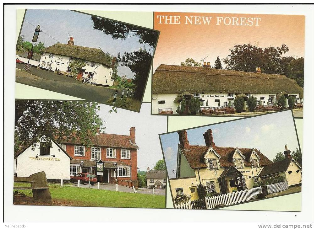 CP - THE NEW FOREST (17 X 11,5 Cm) : The Waterloo Arms - The Trusty Servant - Sir John Barleycorn - The White Hart - Sonstige & Ohne Zuordnung