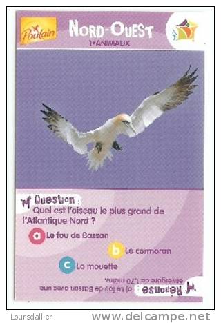 IMAGE POULAIN NORD OUEST ANIMAUX N°1 - Cioccolato