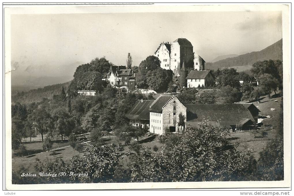 Schloss Wildegg  (3 Karten)            Ca. 1910 - 40 - Wildegg