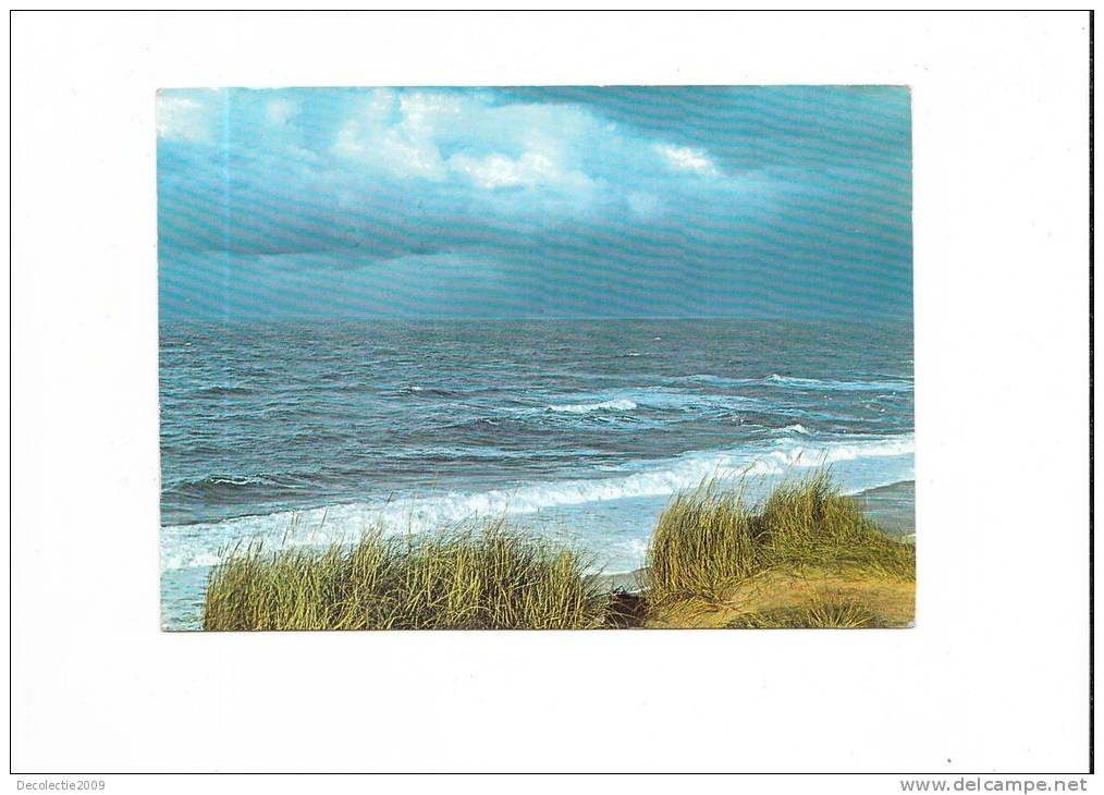 ZS21221 Insel Sylt Nordsee Used Perfect Shape Back Scan Available At Request - Sylt