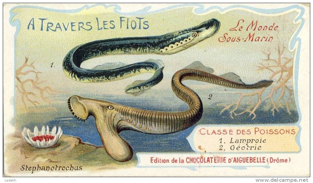 CHROMO CHOCOLATERIE AIGUEBELLE # A TRAVERS LES FLOTS # Poissons#  MONDE SOUS MARIN # CHOCOLAT - Aiguebelle