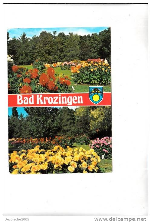 ZS21342 Bad Krozingen Flowers Fleurs Multiviews Used Perfect Shape Back Scan Available At Request - Bad Krozingen