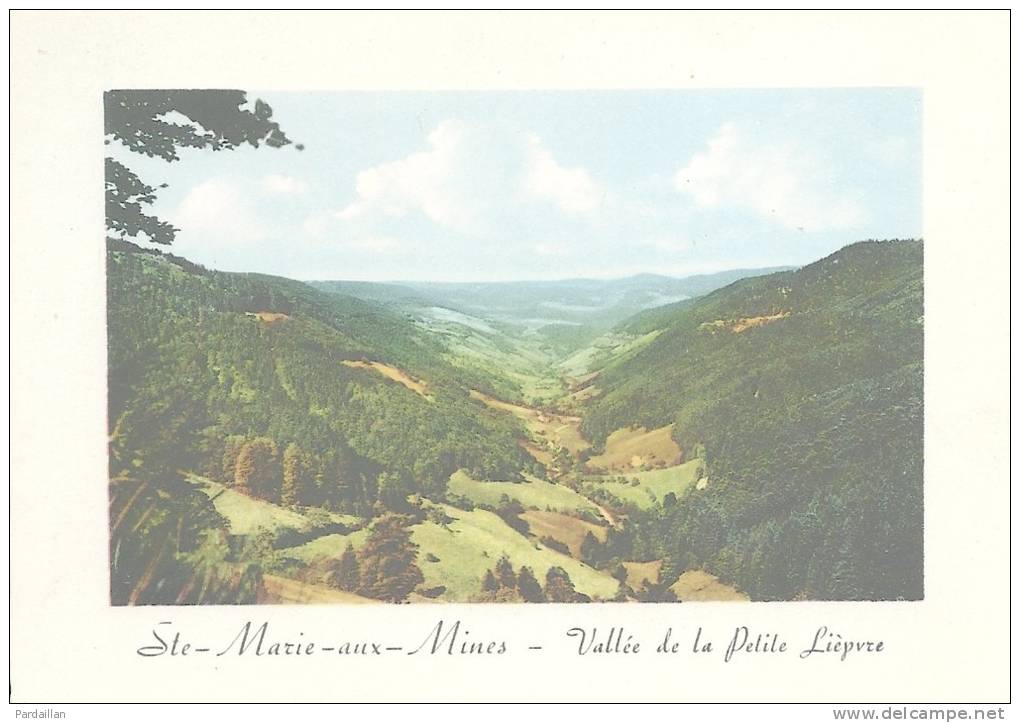 68.  SAINTE-MARIE-AUX-MINES.  VALLEE DE LA PETITE LIEPVRE.  BEAU PLAN.  CPSM. - Sainte-Marie-aux-Mines