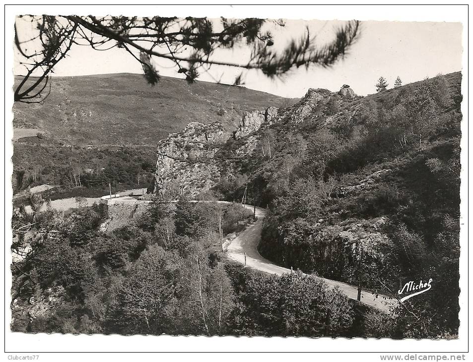 Egletons (19) : La Route De Lamazière Et Basse-neuvic Au Rocher De Servière En 1950  PHOTO VERITABLE. - Egletons