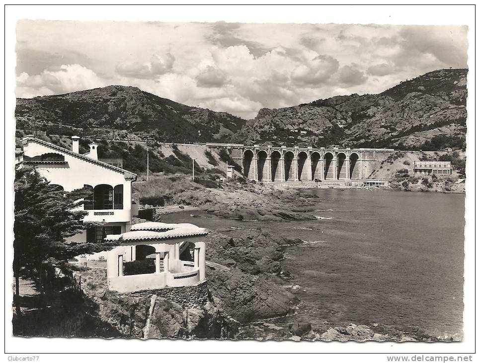 Anthéor (83) : La Villa Près Du Viaduc Et Vue Générale En 1950 PHOTO VERITABLE. - Antheor