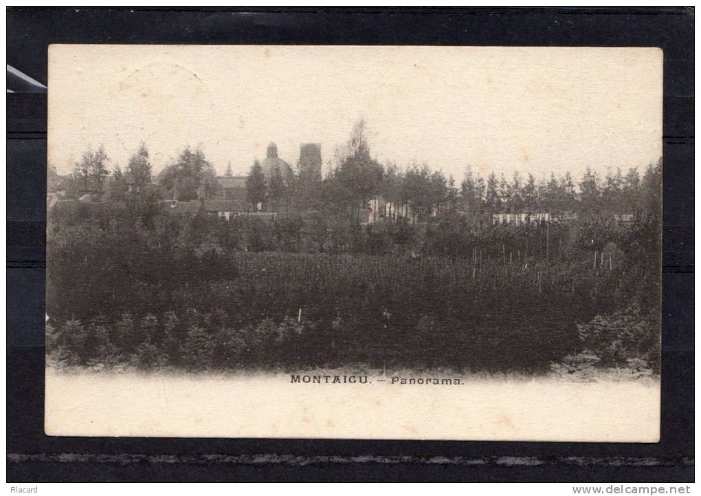 24971   Belgio,  Montaigu,  Panorama,  VG  1905 - Scherpenheuvel-Zichem