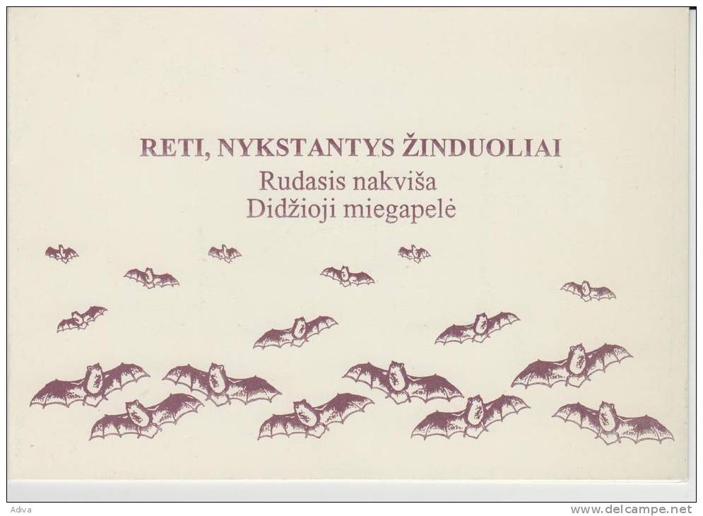 Lithuania 1994  Endangered Mammals Bat And Dormouse Souvenir Booklet With Painter Autograph - Fledermäuse