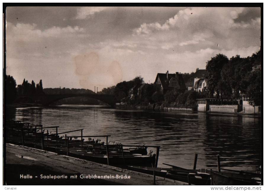 AK Halle, Saalepartie Mit Giebichensteinbrücke, 1964 - Halle (Saale)