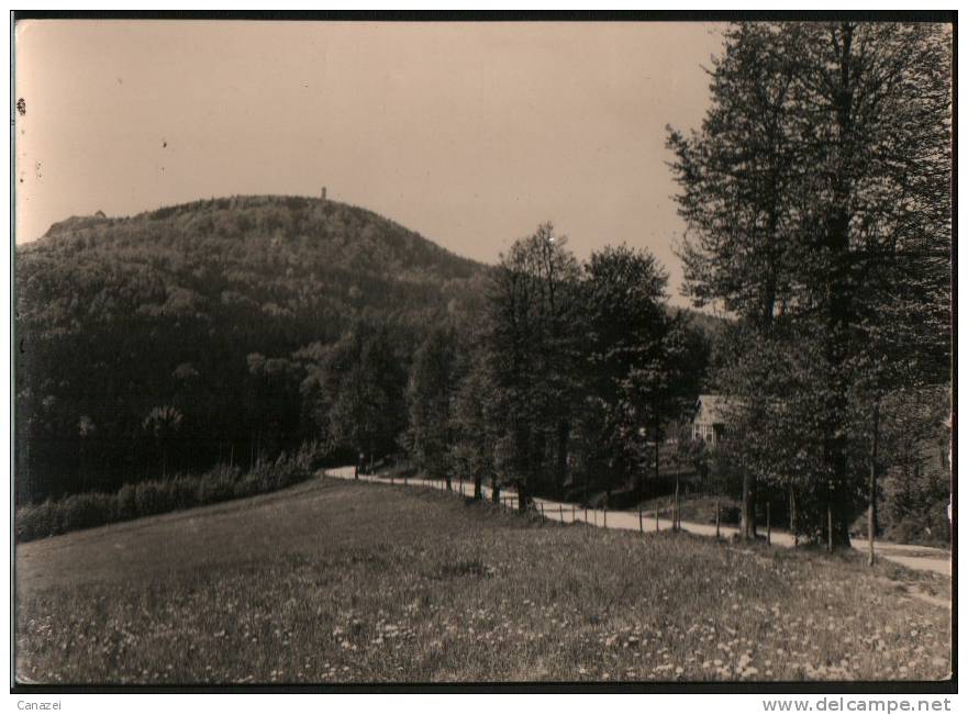 AK Zittauer Gebirge, Höhenluftkurort Lückendorf Mit Hochwald, Handabzug 1967 Ung - Oybin