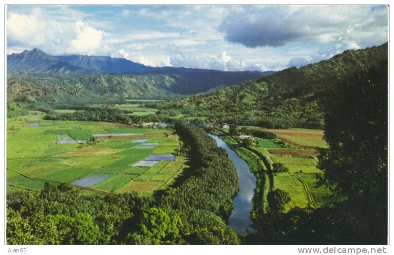 Kauai Island HI Hawaii, Hanalei Valley, C1970s Vintage Postcard - Kauai