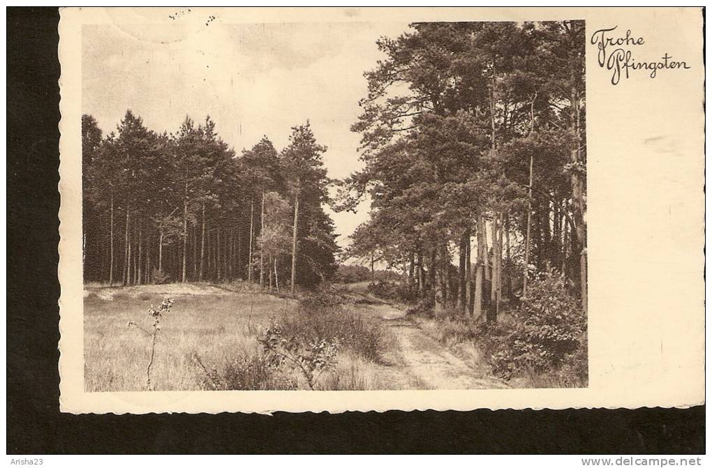 5k. Frohe Pfingsten - Summer - Nature - 1941 - Pentecôte