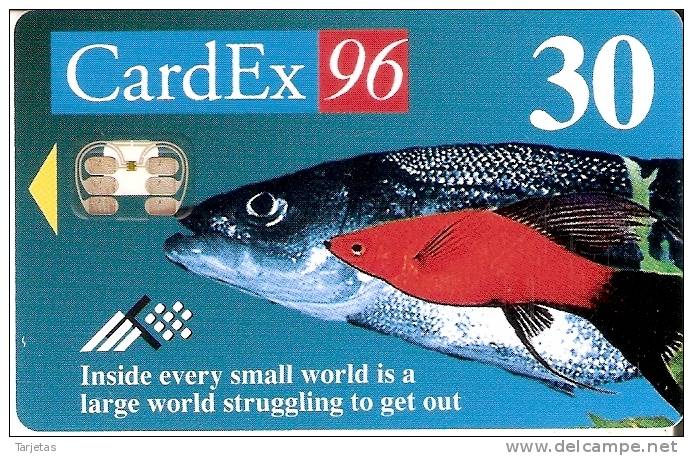 TARJETA DE ESTONIA DE CARDEX 96 DE UNOS PECES TIRADA 1000 (PEZ-FISH) (NUEVA-MINT) - Estonia