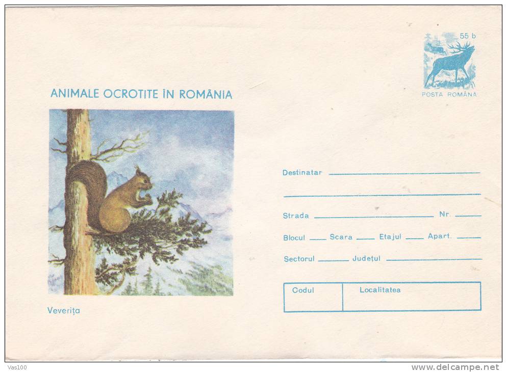 SQUIRELL, 1977, COVER STATIONERY, ENTIER POSTAUX, UNUSED, ROMANIA - Rodents