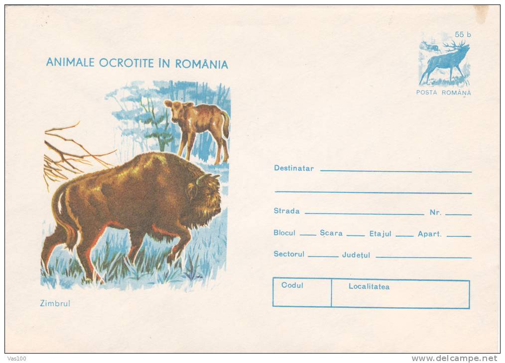 ZIMBRU, 1977, COVER STATIONERY, ENTIER POSTAUX, UNUSED, ROMANIA - Vaches